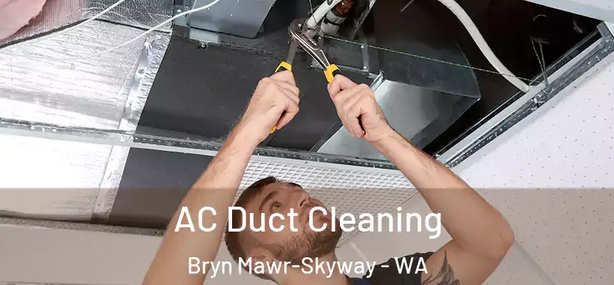 AC Duct Cleaning Bryn Mawr-Skyway - WA