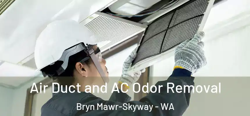  Air Duct and AC Odor Removal Bryn Mawr-Skyway - WA