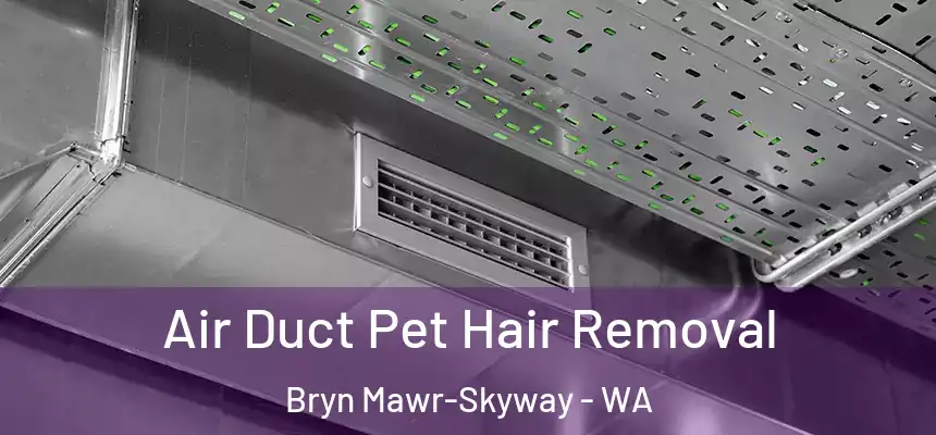 Air Duct Pet Hair Removal Bryn Mawr-Skyway - WA