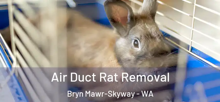  Air Duct Rat Removal Bryn Mawr-Skyway - WA