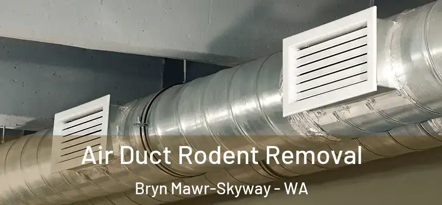 Air Duct Rodent Removal Bryn Mawr-Skyway - WA