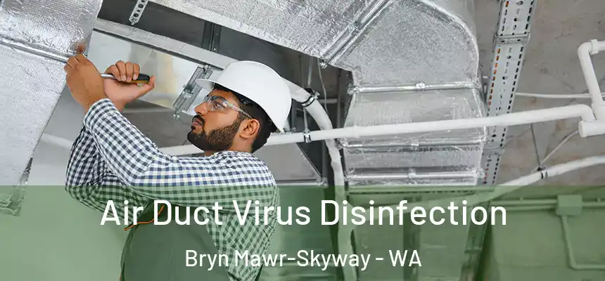  Air Duct Virus Disinfection Bryn Mawr-Skyway - WA