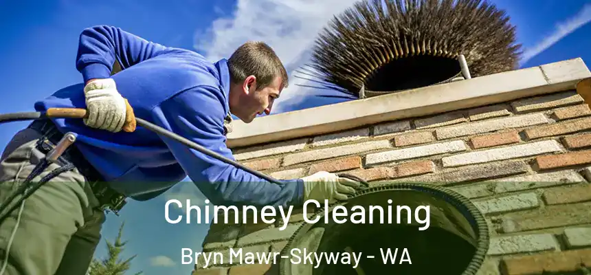 Chimney Cleaning Bryn Mawr-Skyway - WA