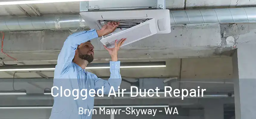  Clogged Air Duct Repair Bryn Mawr-Skyway - WA