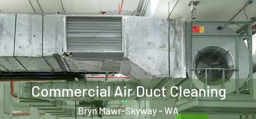 Commercial Air Duct Cleaning Bryn Mawr-Skyway - WA