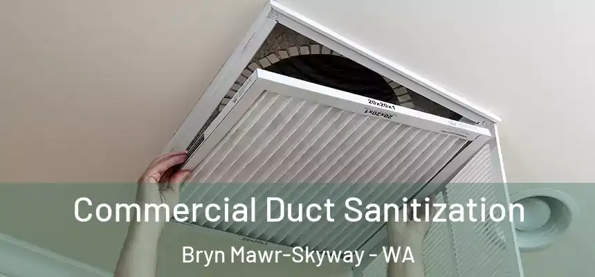 Commercial Duct Sanitization Bryn Mawr-Skyway - WA