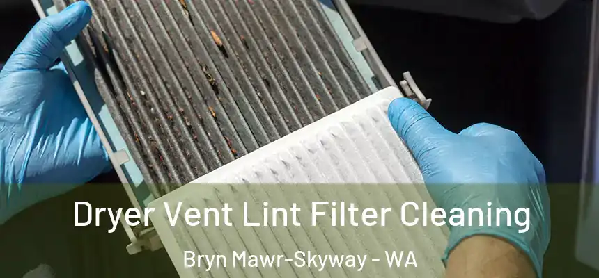 Dryer Vent Lint Filter Cleaning Bryn Mawr-Skyway - WA