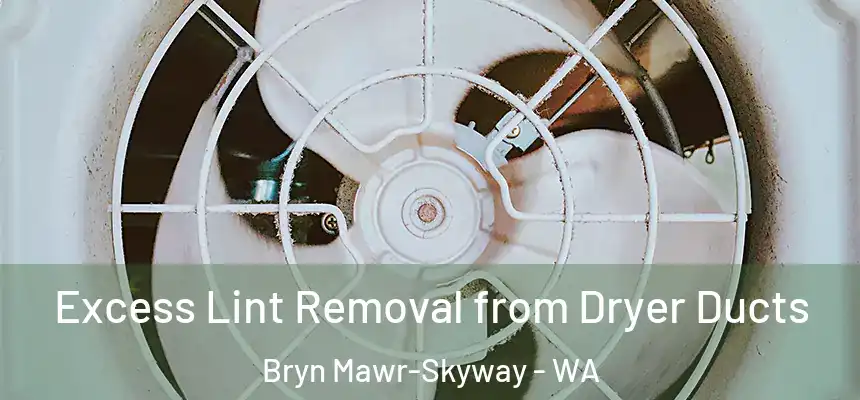 Excess Lint Removal from Dryer Ducts Bryn Mawr-Skyway - WA