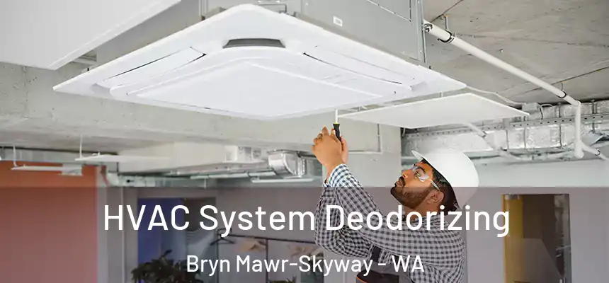 HVAC System Deodorizing Bryn Mawr-Skyway - WA