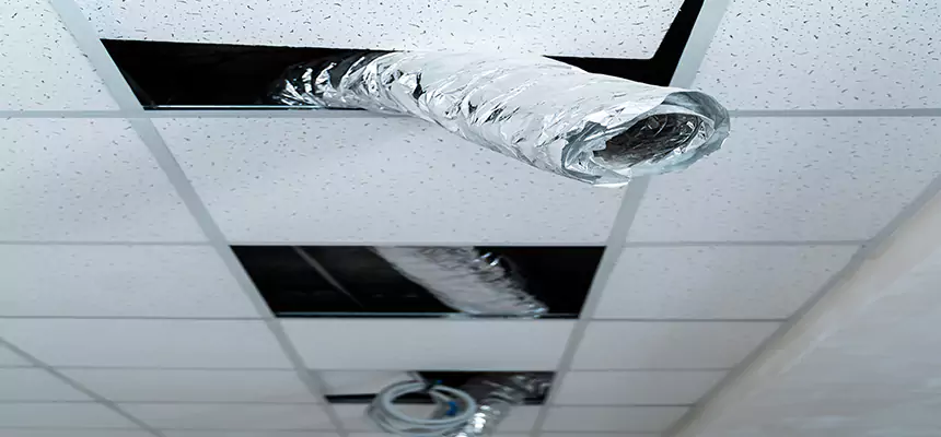 Affordable HVAC Sanitizing After Pest Removal in Bryn Mawr-Skyway