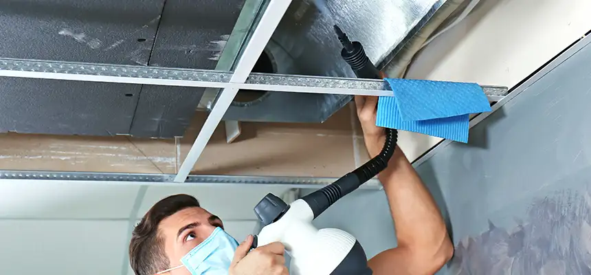 Our Air Duct Rodent Removal Services in Bryn Mawr-Skyway, WA
