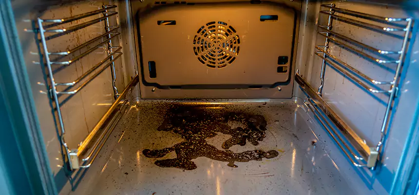 Our Dryer Vent Mold Cleaning Services in Bryn Mawr-Skyway, WA