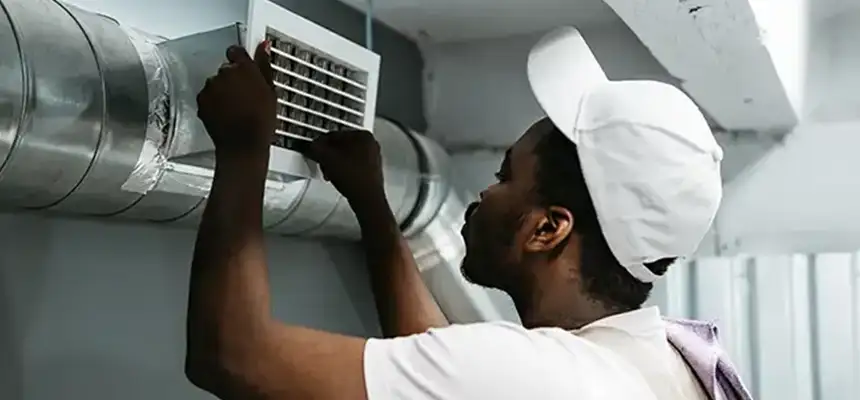 Our Licensed And Insured Cleaners in Bryn Mawr-Skyway, WA