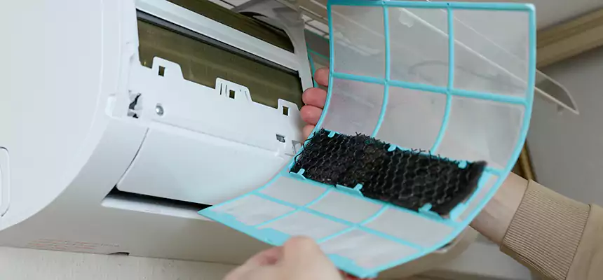 Gentle Ductwork Odor-Control Pet Dander Duct Cleaning in Bryn Mawr-Skyway, WA