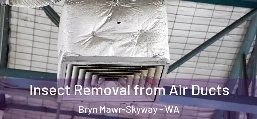 Insect Removal from Air Ducts Bryn Mawr-Skyway - WA
