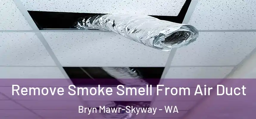 Remove Smoke Smell From Air Duct Bryn Mawr-Skyway - WA
