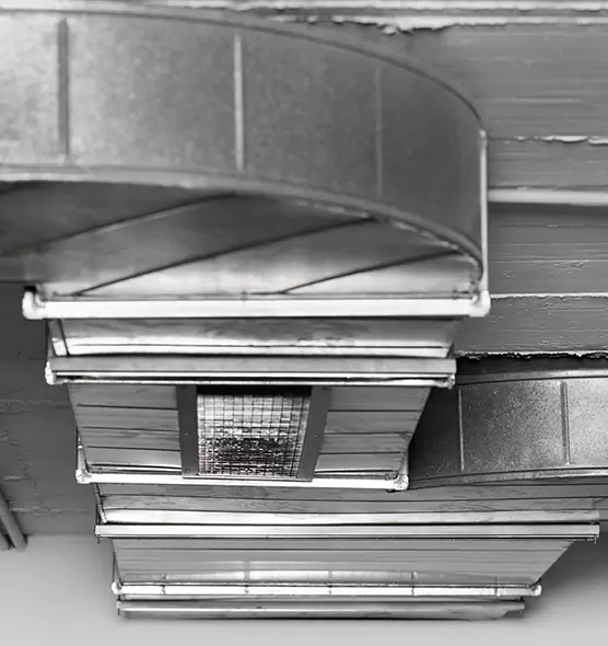 Professional Air Duct Pet Hair Removal in Bryn Mawr-Skyway, WA