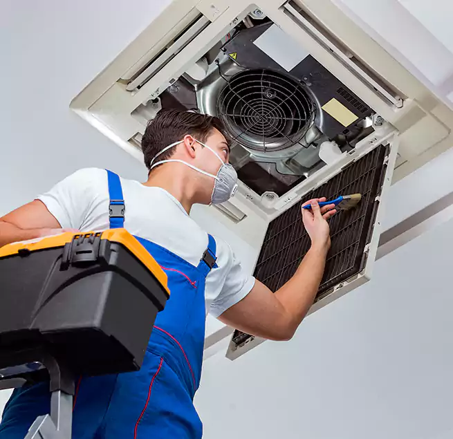 Why Homeowners & Businesses Trust Us in Bryn Mawr-Skyway, WA