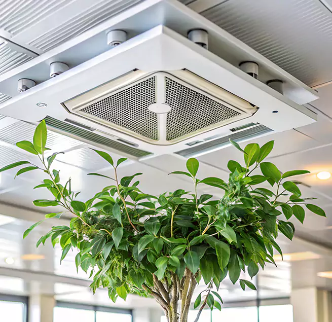 Why Homeowners & Businesses Trust Us in Bryn Mawr-Skyway, WA