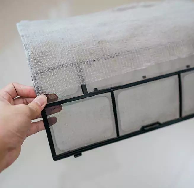 Why Homeowners & Businesses Trust Us in Bryn Mawr-Skyway, WA?