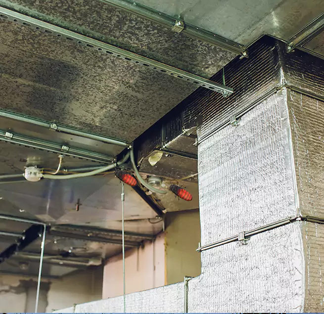 Why Homeowners & Businesses Trust Us Bryn Mawr-Skyway, WA?