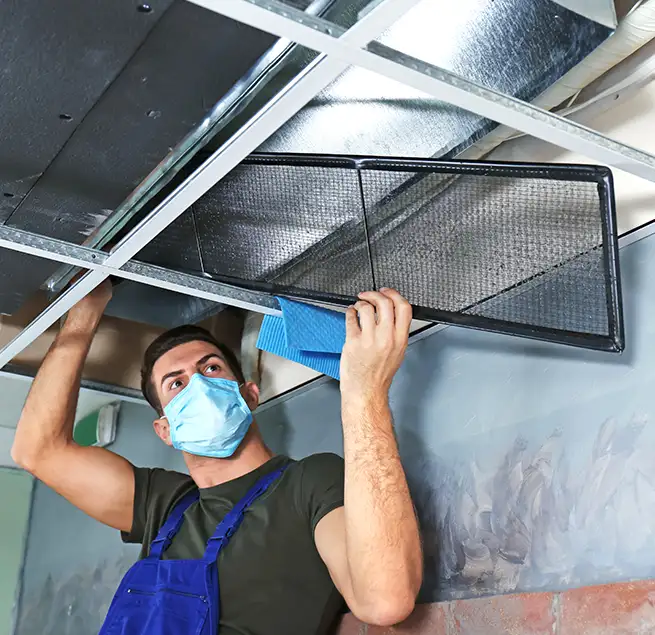 Why Homeowners & Businesses Trust Us in Bryn Mawr-Skyway, WA?