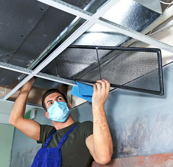 Why Homeowners Businesses Trust Us in Bryn Mawr-Skyway, WA?