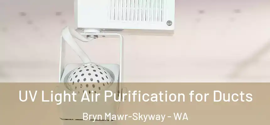  UV Light Air Purification for Ducts Bryn Mawr-Skyway - WA