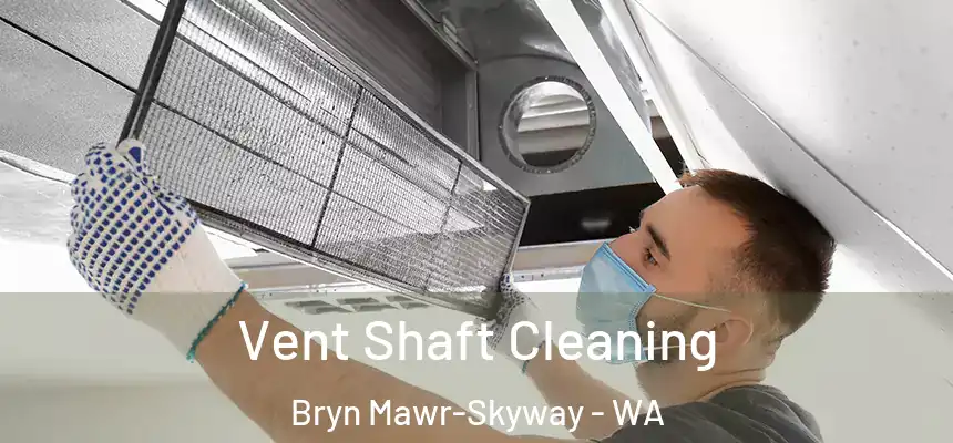Vent Shaft Cleaning Bryn Mawr-Skyway - WA